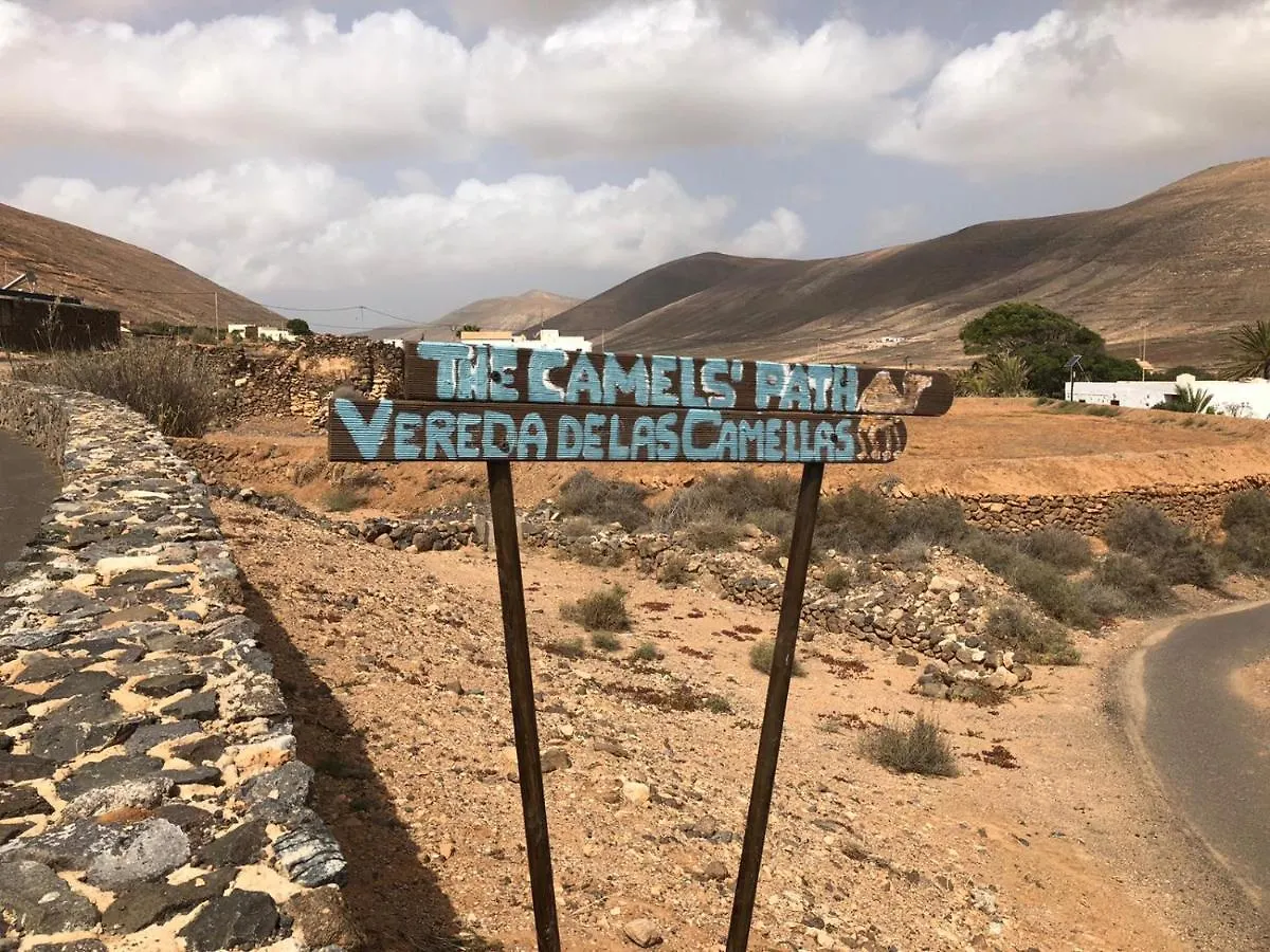Vereda De Las Camellas Hotel Puerto del Rosario  0*, Puerto del Rosario (Fuerteventura)